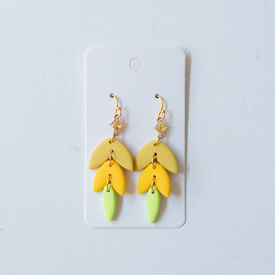 Citrus Cascade
