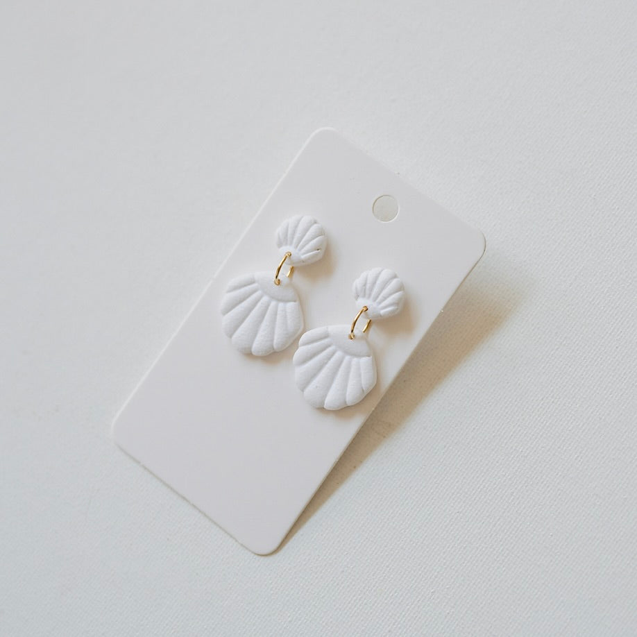 Shoreline Shells